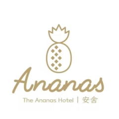 Logo Ananas Hotel